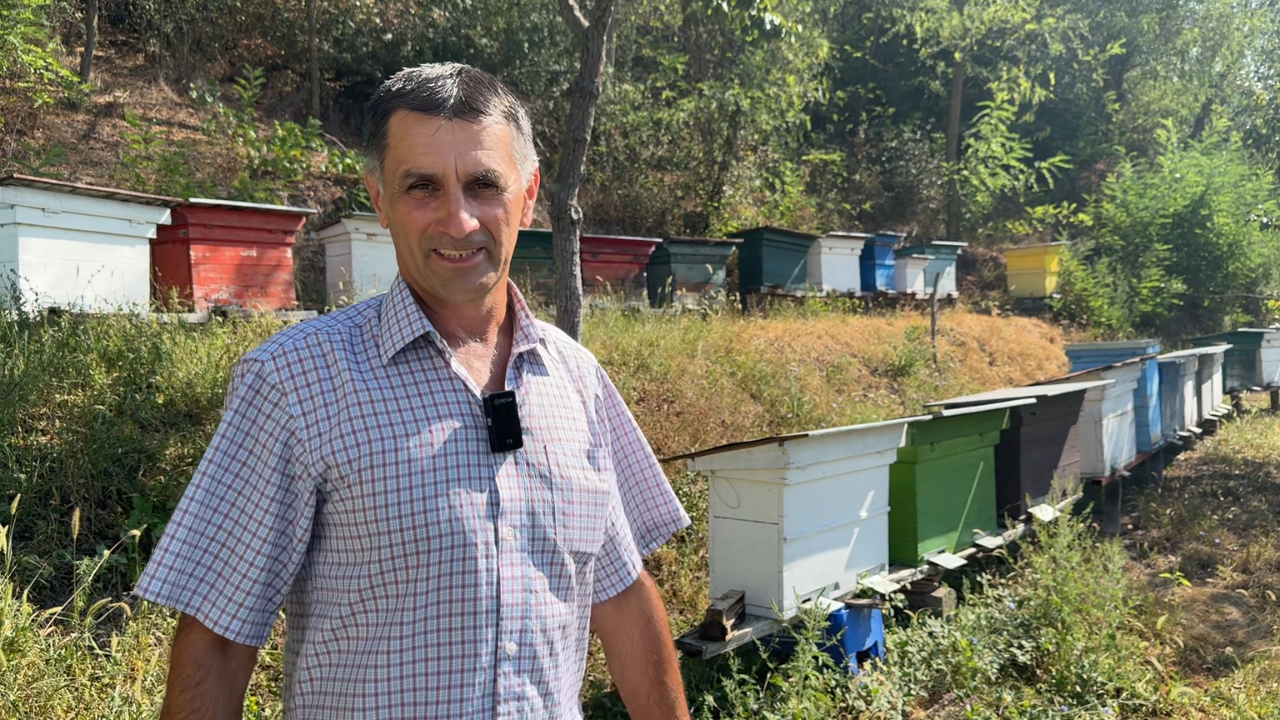 Lăzărică Gruița – Apicultor din Sichevița